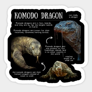 Animal Facts - Komodo Dragon Sticker